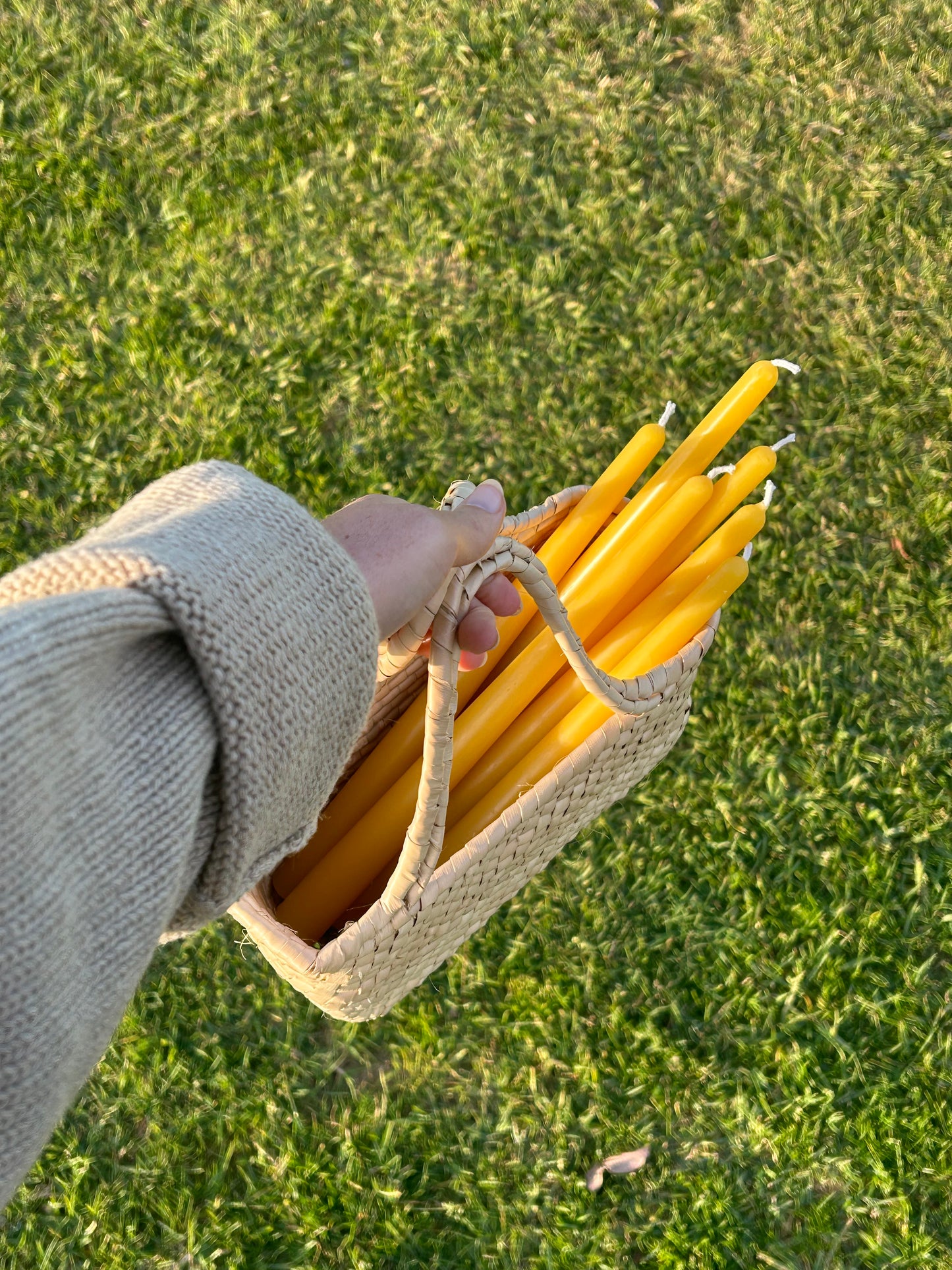 Woven Palm Mini Basket