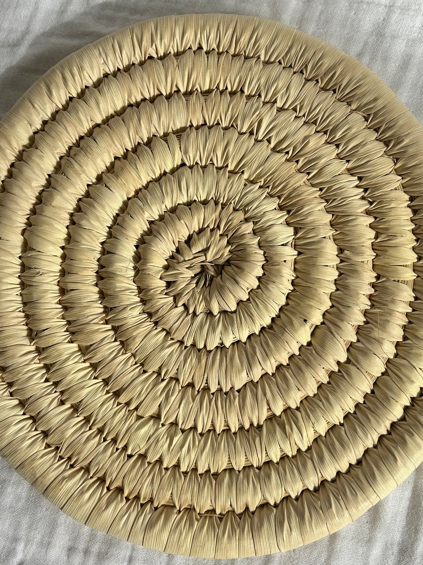 Woven Palm Trivet